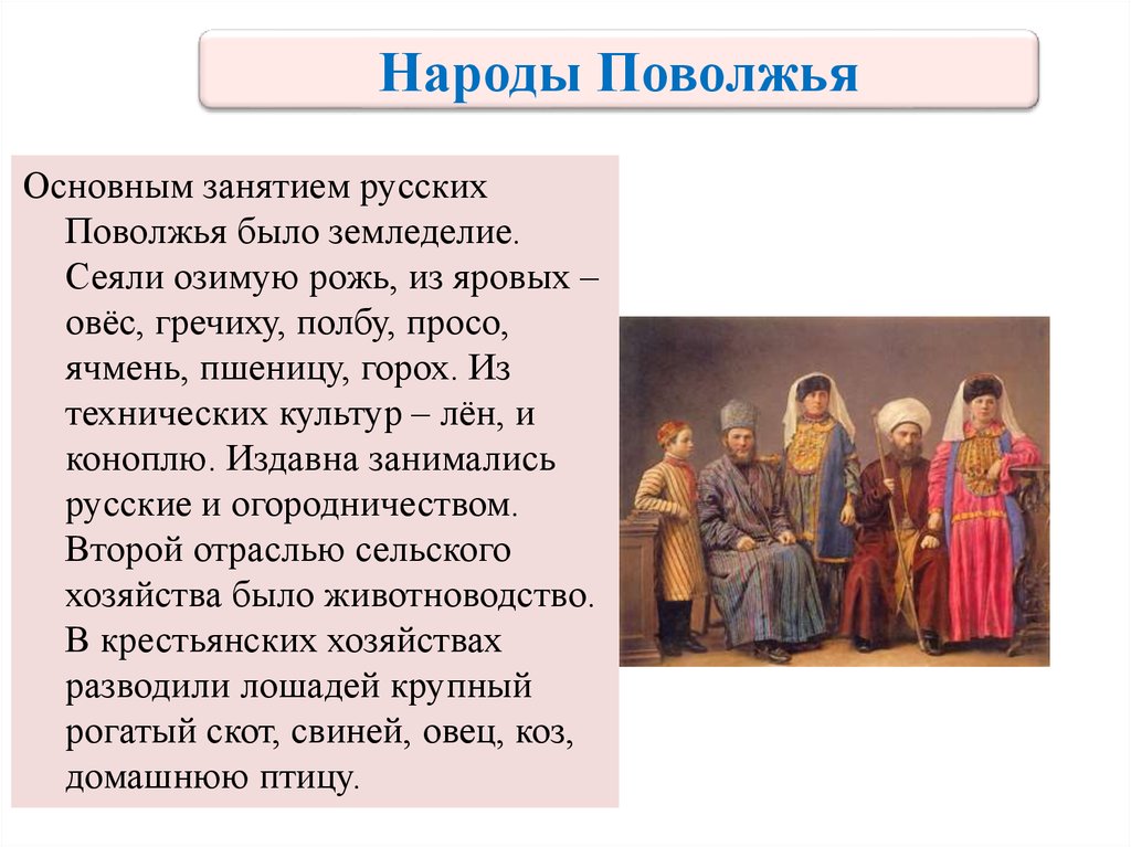 Особенности жизненного уклада украинцев в 17 веке