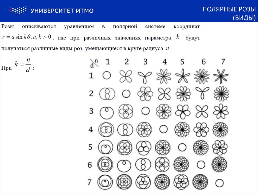 Замечательные математические кривые розы и спирали проект