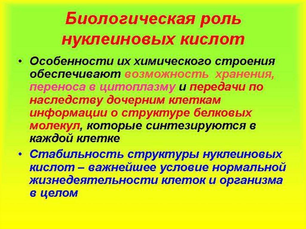 Структура и функции нуклеиновых кислот презентация 11 класс пономарева