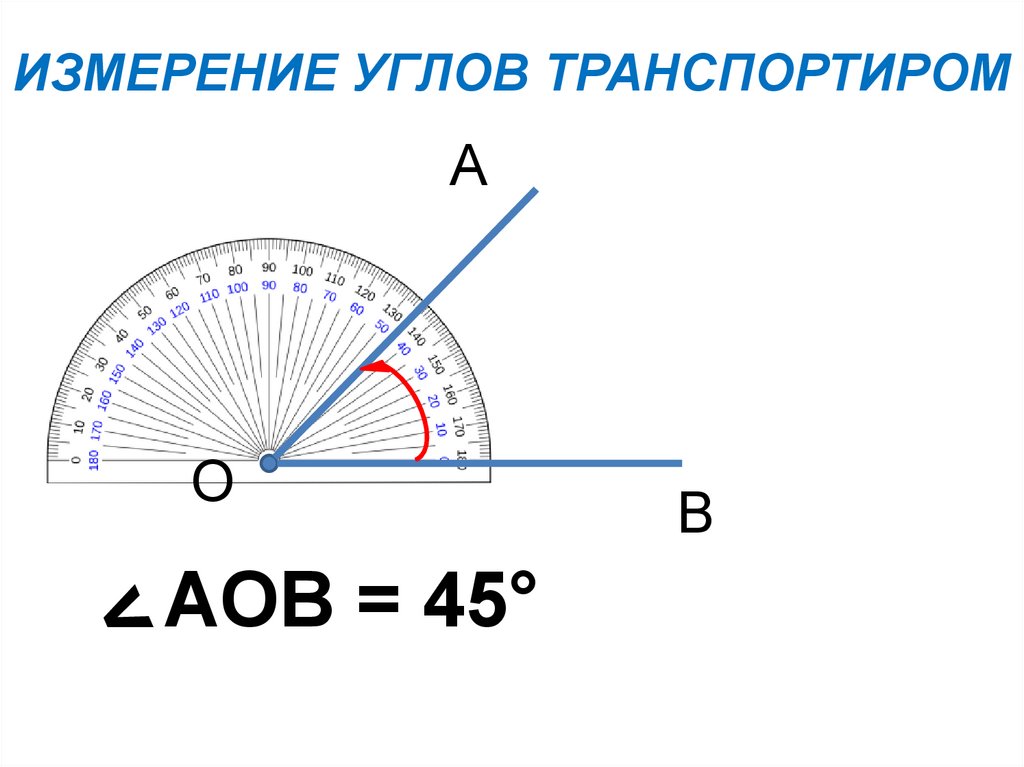 Транспортир 5 класс. Как измерить угол транспортиром. Как измерять углы транспортиром 5. Как мерить углы транспортиром 5 класс. Как измерить угол транспортиром 5 класс.