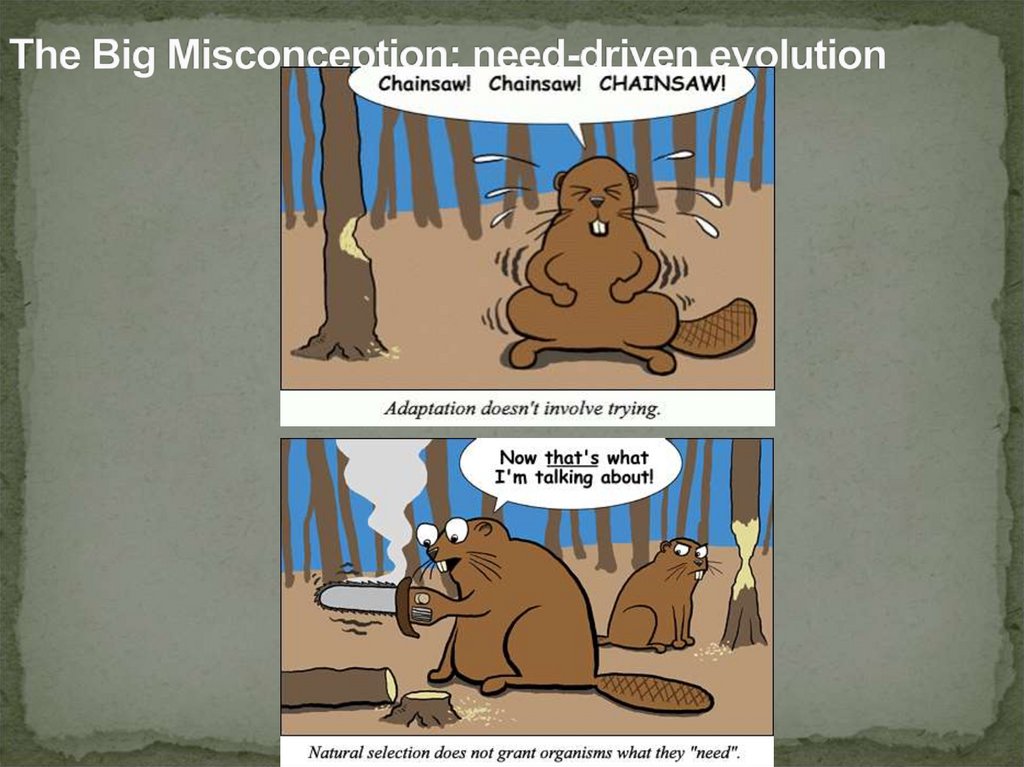 The Big Misconception: need-driven evolution