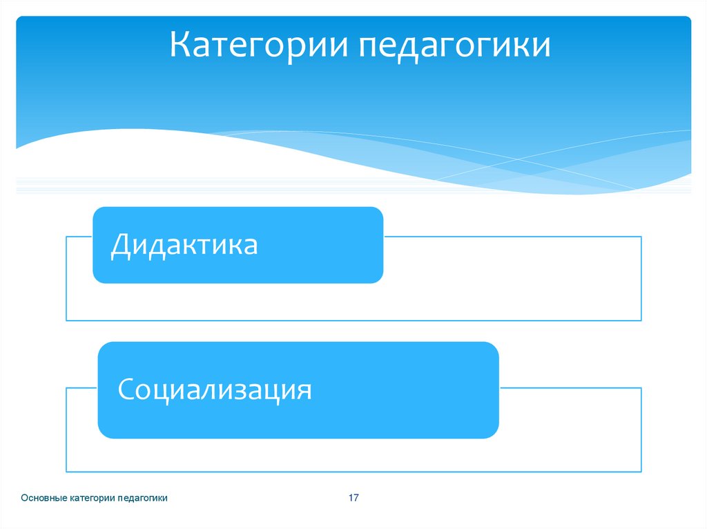 Педагогика дидактика основные. Основные категории педагогики социализация. Категории социализации в педагогике. Категории педагогики слайды. Основные педагогические категории социализация.