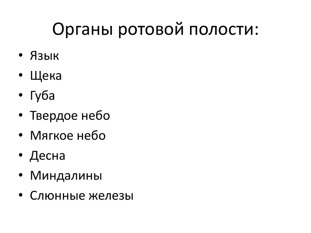 Функции ротовой полости