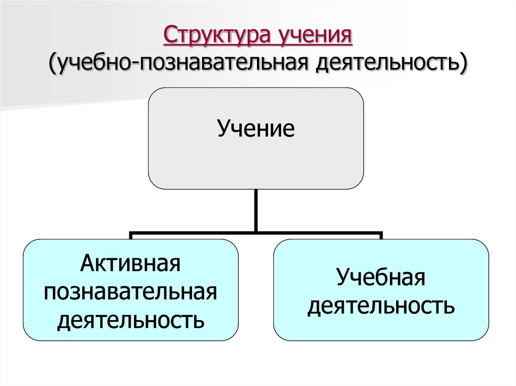 Структура учения