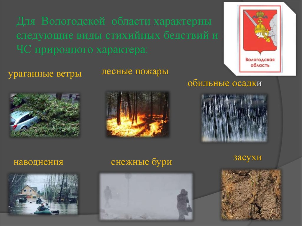 Для Вологодской области характерны следующие виды стихийных бедствий и ЧС природного характера: