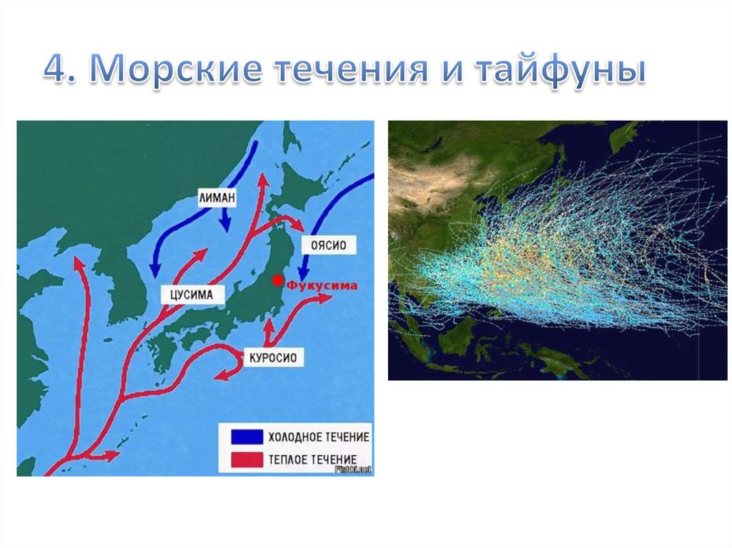 Течения в японском море карта