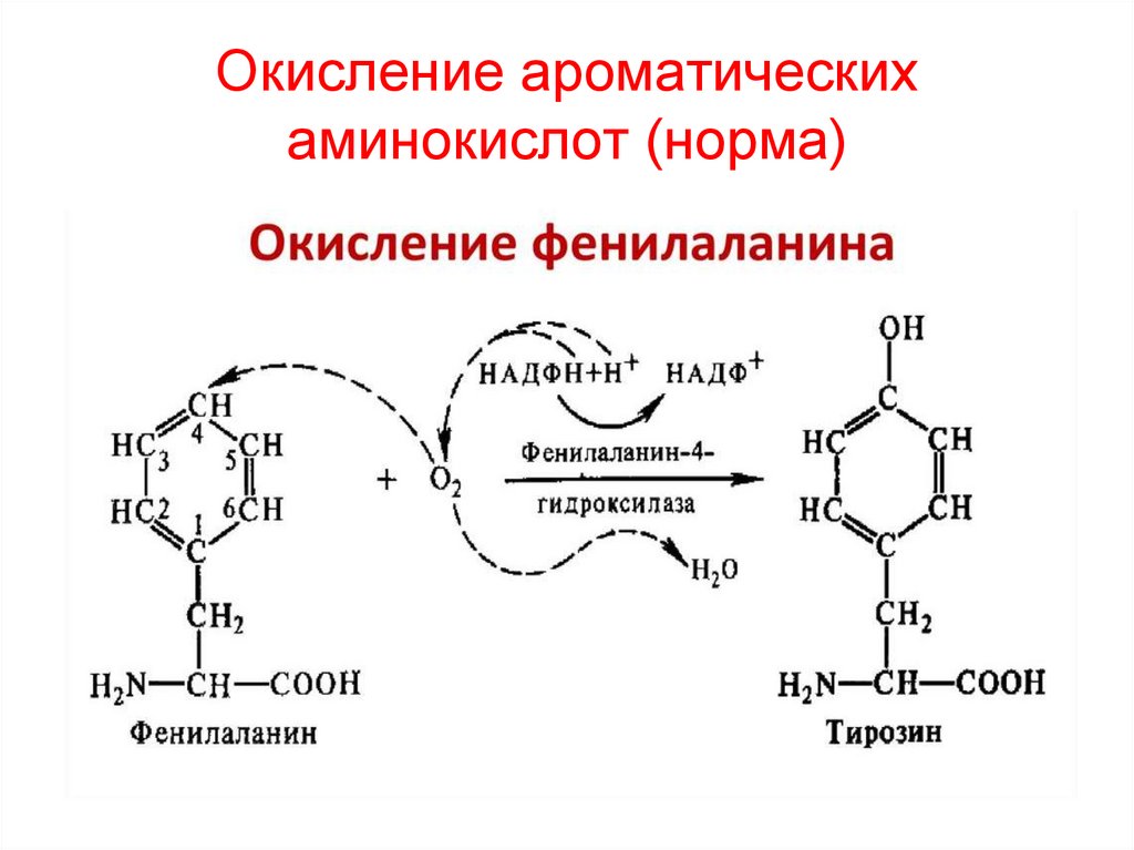 Окисление это