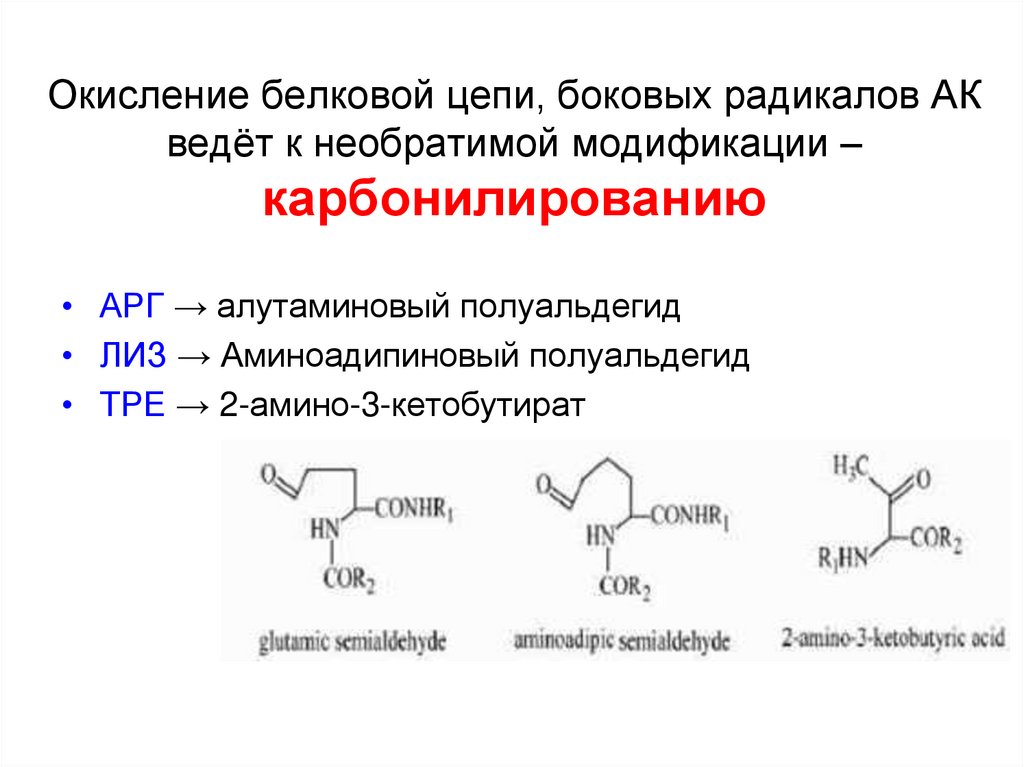 Окисление белков. Реакция окисления белков. Перекисное окисление белков. Окисление белка реакция. Окисление боковой цепи.