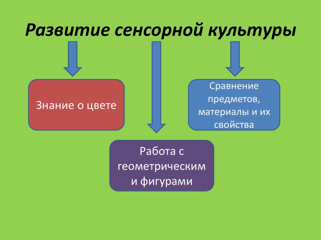 Культура знание. Сенсорная культура это. Развитие сенсорной культуры. Область познавательной культуры. Сенсорная культура у детей.