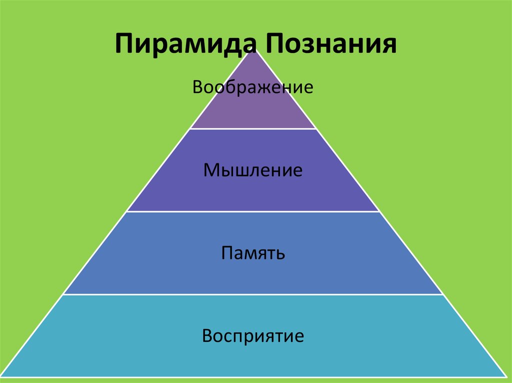 Картинка пирамида обучения