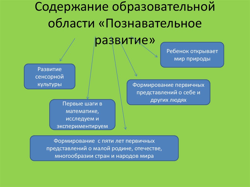 Познавательная область развития включает