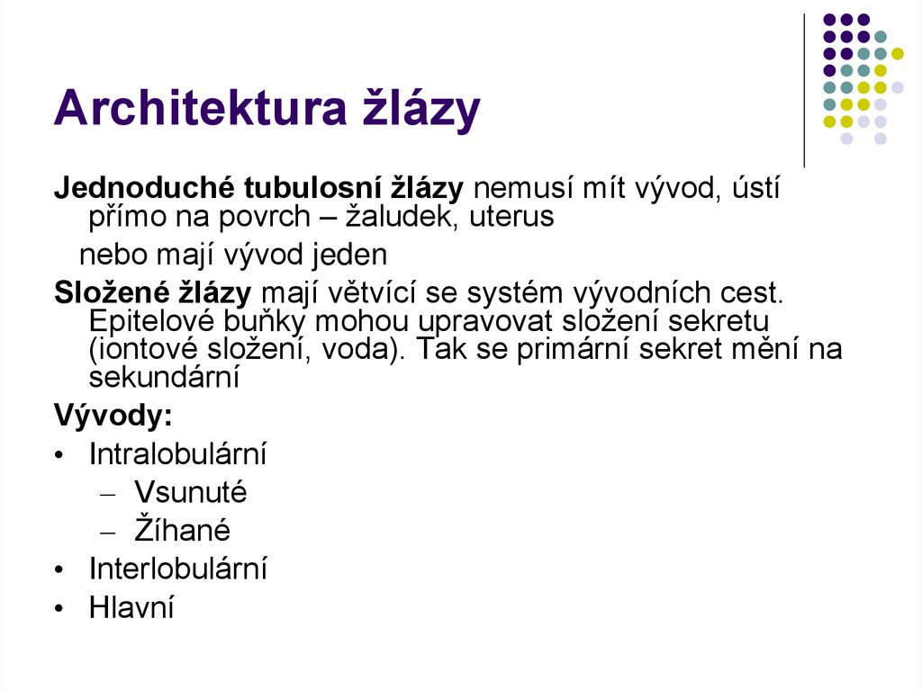 Architektura žlázy