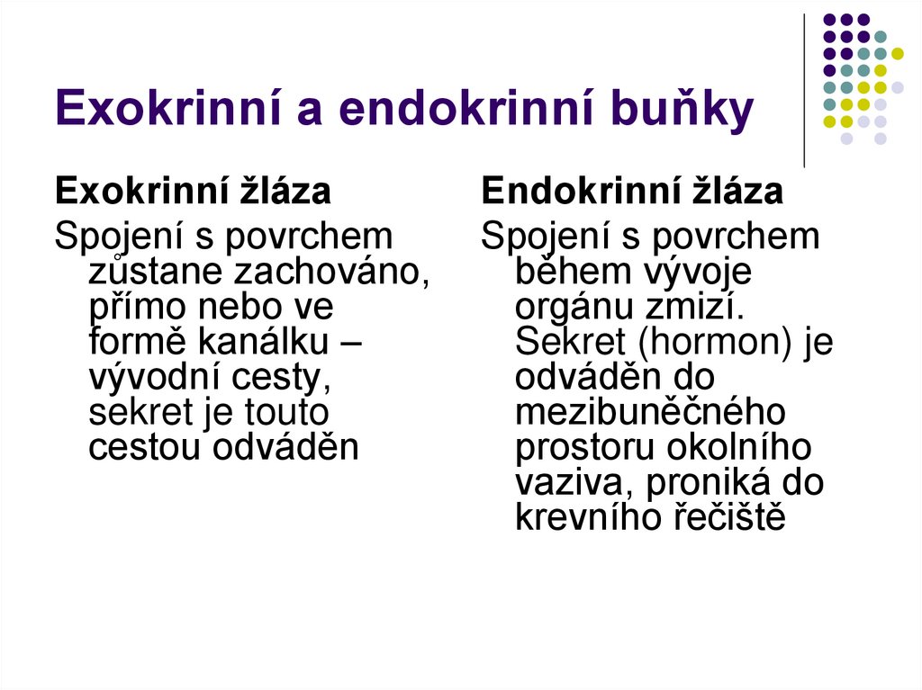 Exokrinní a endokrinní buňky