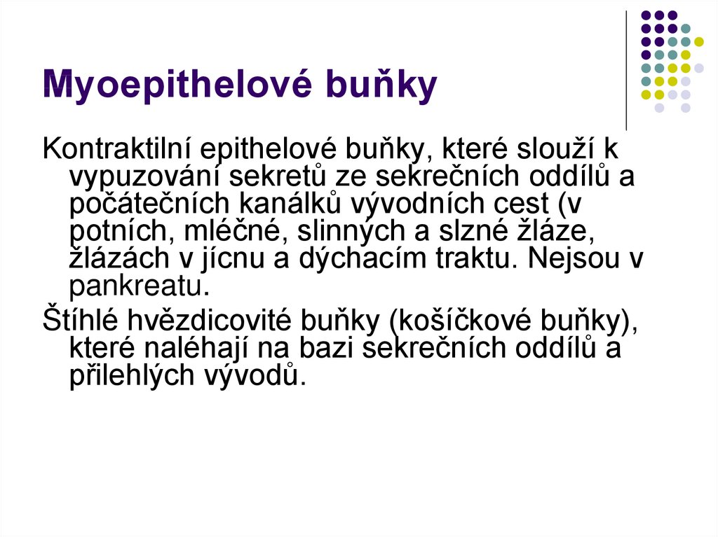 Myoepithelové buňky