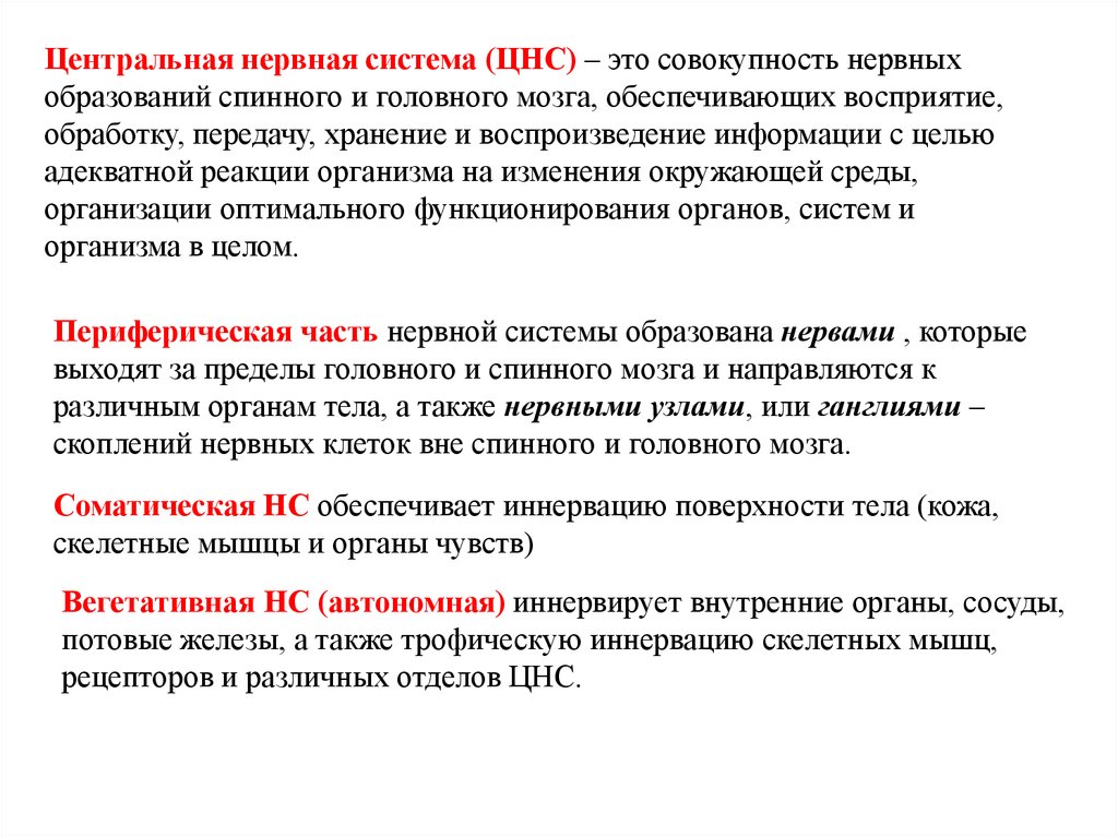 Центральная нс. ЦНС. Нервная система. Центральная нервная система. ЦНС это определение.