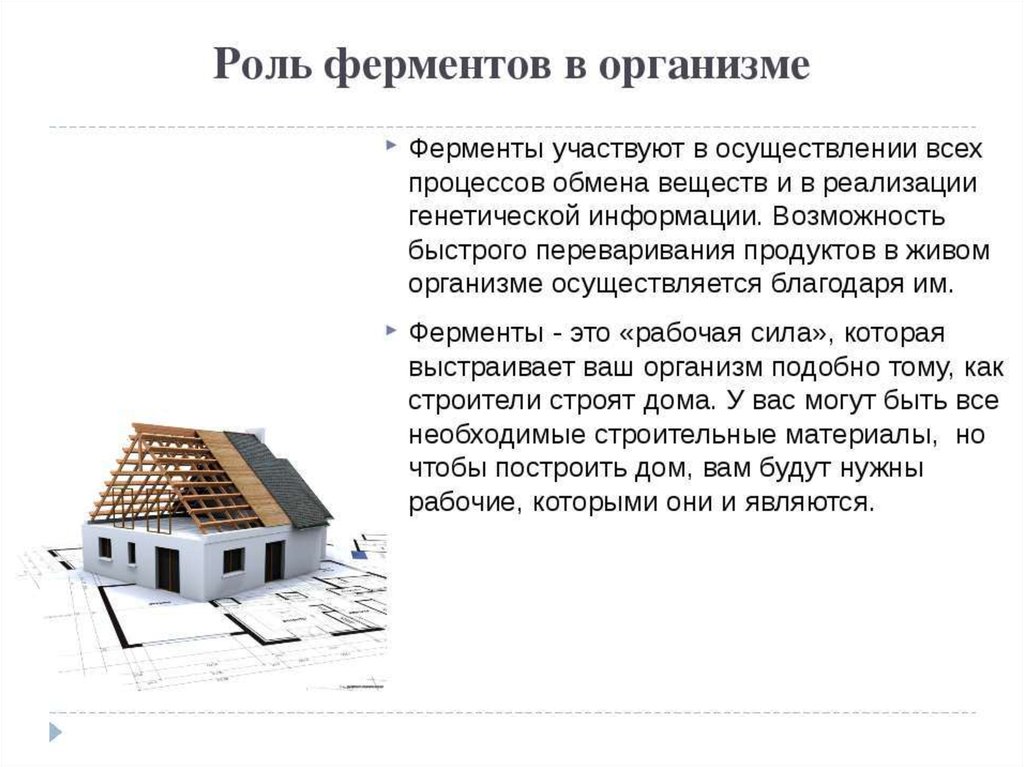 Ферменты и их роль в организме человека презентация 8 класс пасечник линия жизни