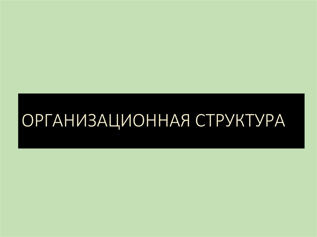 ОРГАНИЗАЦИОННАЯ СТРУКТУРА