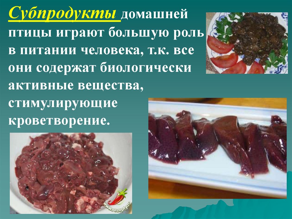 Студень из субпродуктов птицы технологическая карта