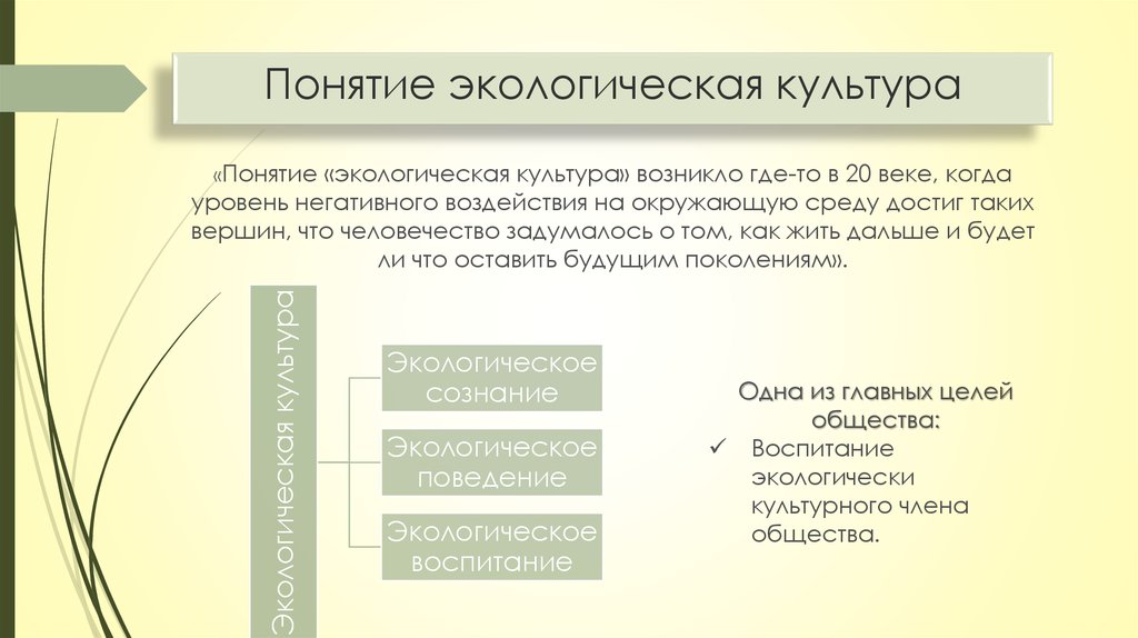 Понятие окружающей среды. Экология культуры. Понятие экологическая культура. Термин экологическая культура. Экологическая культура граждан это.