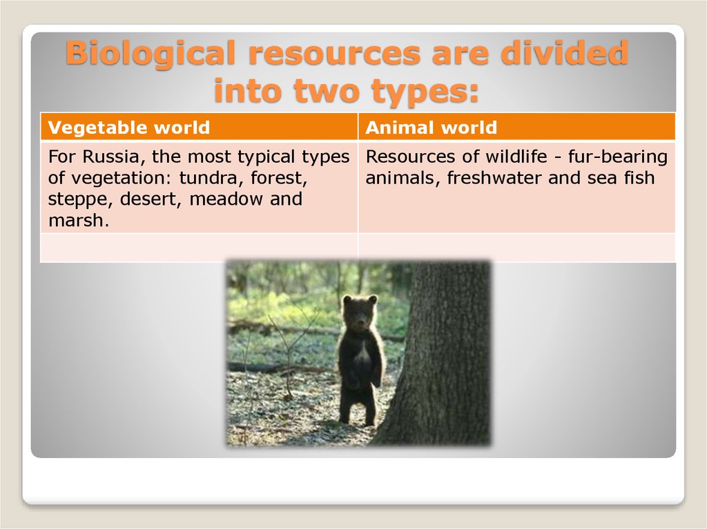 Biological resources are divided into two types: