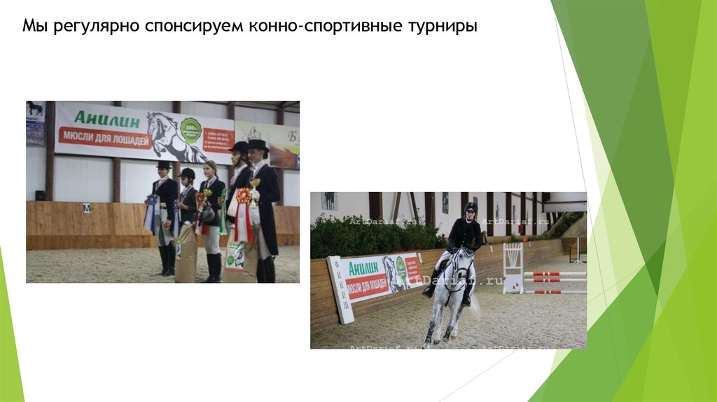 Мы регулярно спонсируем конно-спортивные турниры
