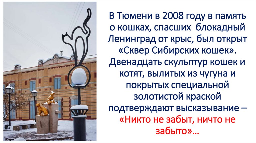 В Тюмени в 2008 году в память о кошках, спасших  блокадный Ленинград от крыс, был открыт «Сквер Сибирских кошек». Двенадцать