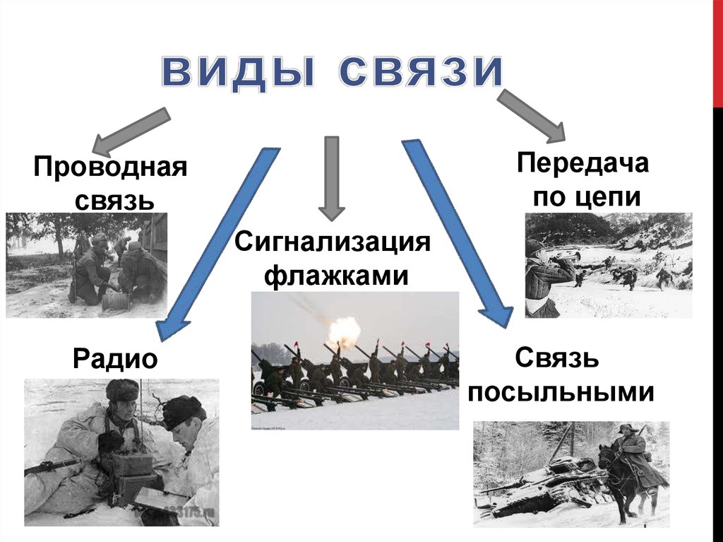 Передача информации в природе