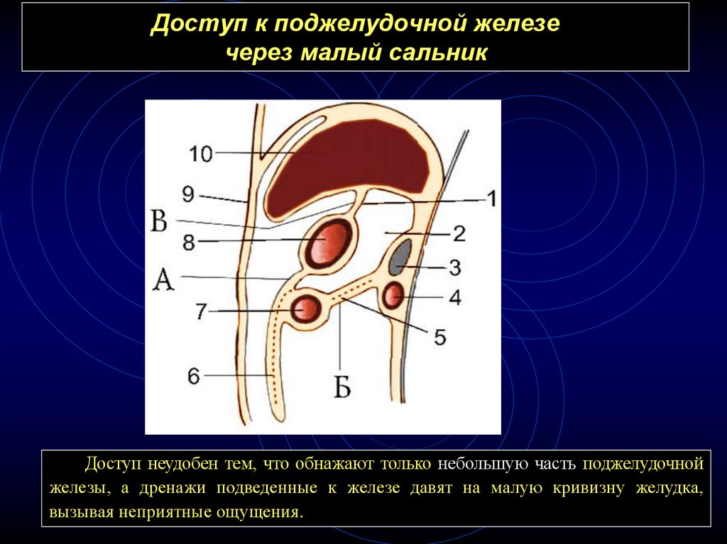 Что такое большой сальник