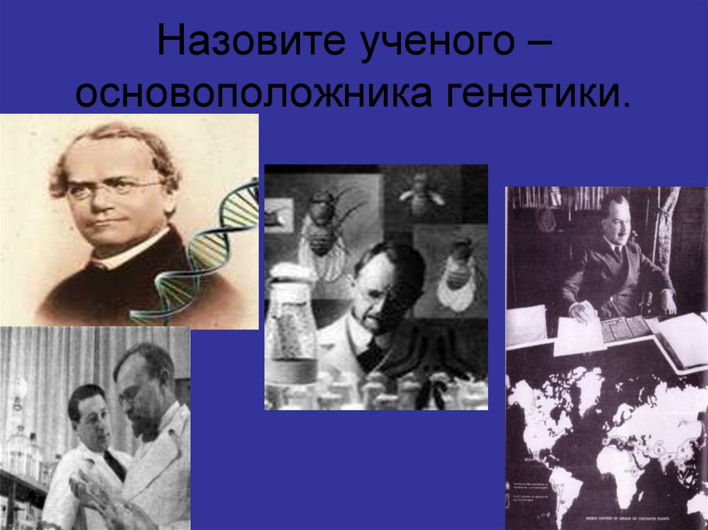 Как зовут ученого. Назовите ученого основоположника генетики. Основоположником генетики является. Какой учёный считается основоположником генетики. Какой ученый был признан в 1900 году основоположником генетики.