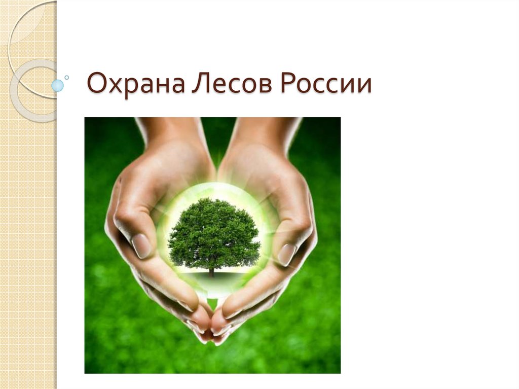 Охрана лесов в россии. Защита леса. Охрана леса. Охрана леса в России. Сохранение леса.