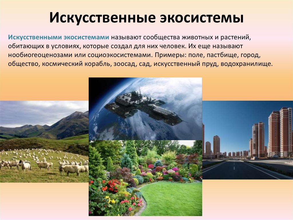 Что является примером естественной экосистемы в процессе. Искусственное эко. Искусственные экосистемы. Искусственные экосистемы примеры. Природные экосистемы.