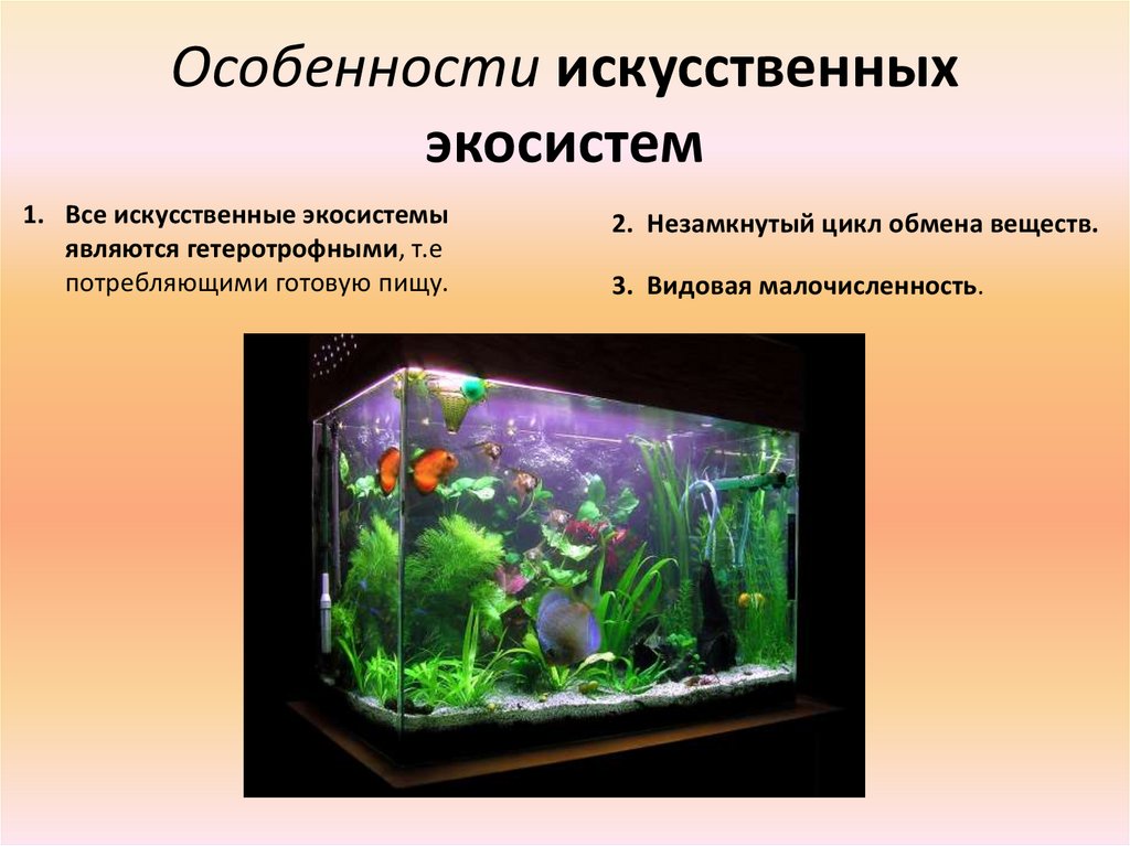 Определите какие организмы живут в аквариуме лабораторная. Искусственные экосистемы. Искусттвннные экосистема. Особенности искусственных экосистем. Аквариум искусственная экосистема.