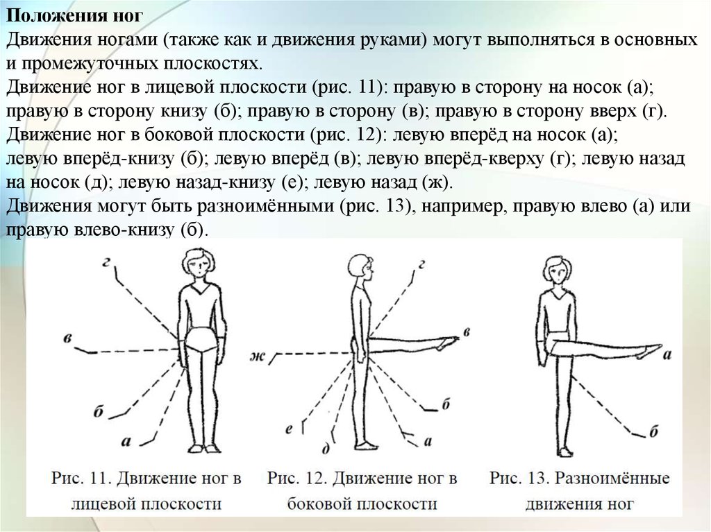 Ноги двигаются назвали. Основные положения ног в гимнастике. Положение прямых рук в гимнастике. Положение ног. Положения и движения ног.