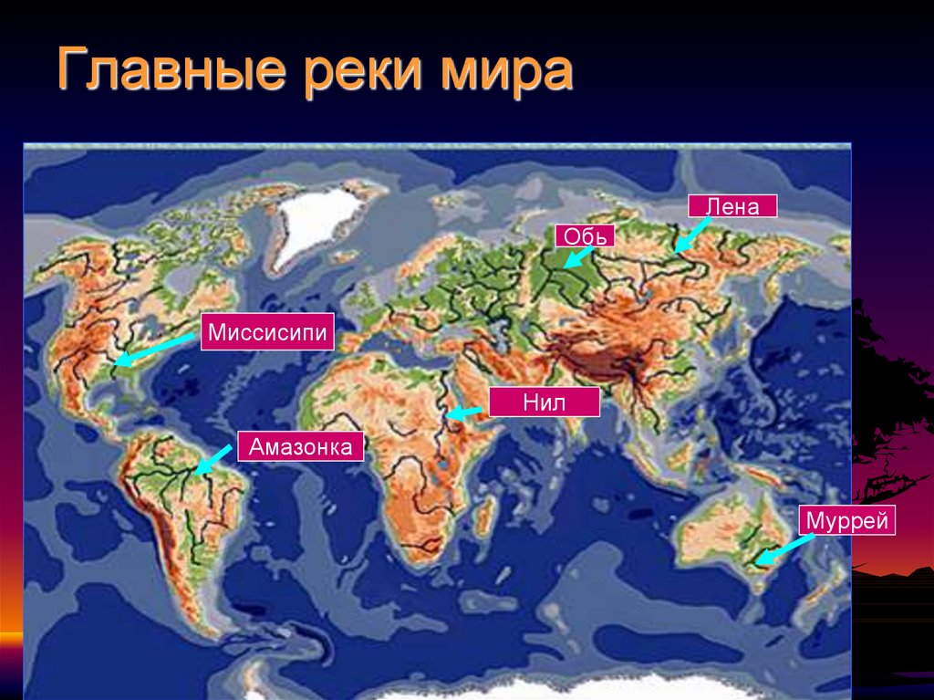 Лена протекает. Основные реки мира. Реки Амазонка Нил Миссисипи. Реки Амазонка Нил Миссисипи на карте. Река Амазонка и Миссисипи на карте.