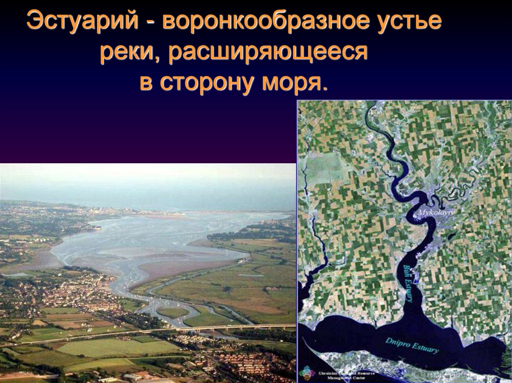 Европейская река впадающая в черное море. Устье реки. Эстуарий реки это. Устье реки и эстуарий. Воронкообразное Устье реки расширяющееся в сторону моря.