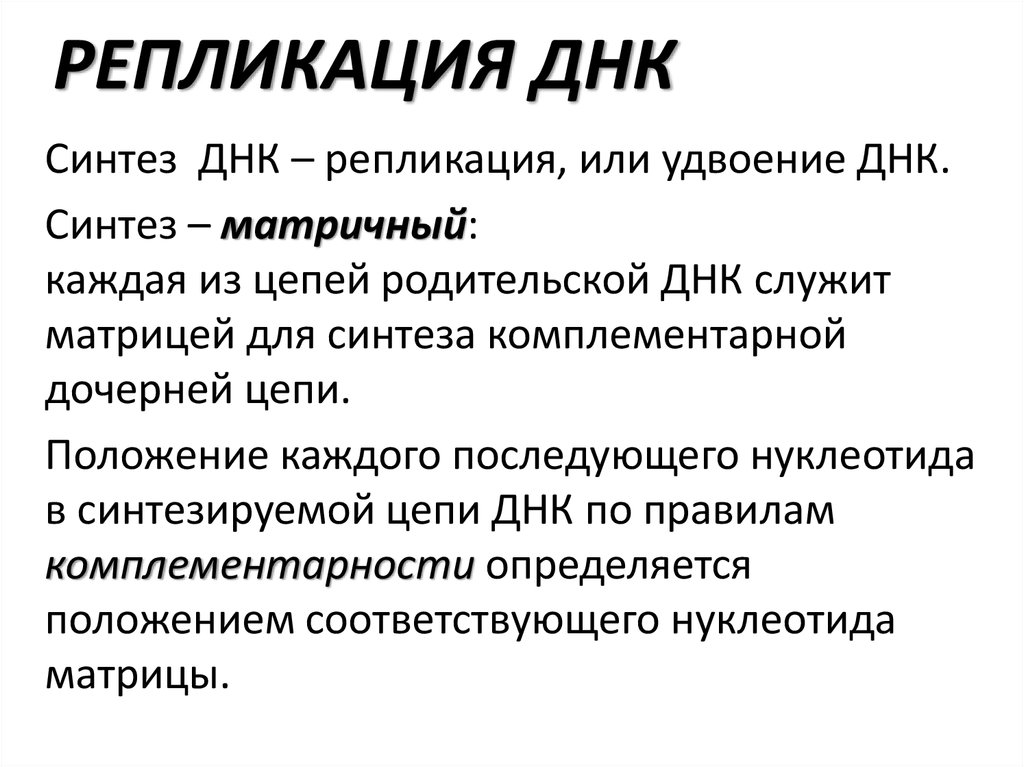 Синтез днк