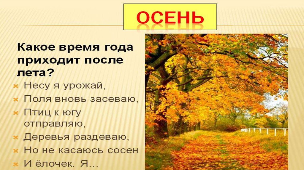 Времена года осень презентация. Презентация для дошкольников осенние деревья. Презентация осень для дошкольников. Осеннее дерево для презентации. Золотая осень осенние классный час.