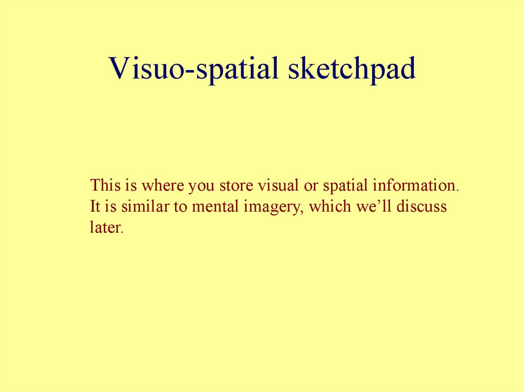 Visuo-spatial sketchpad