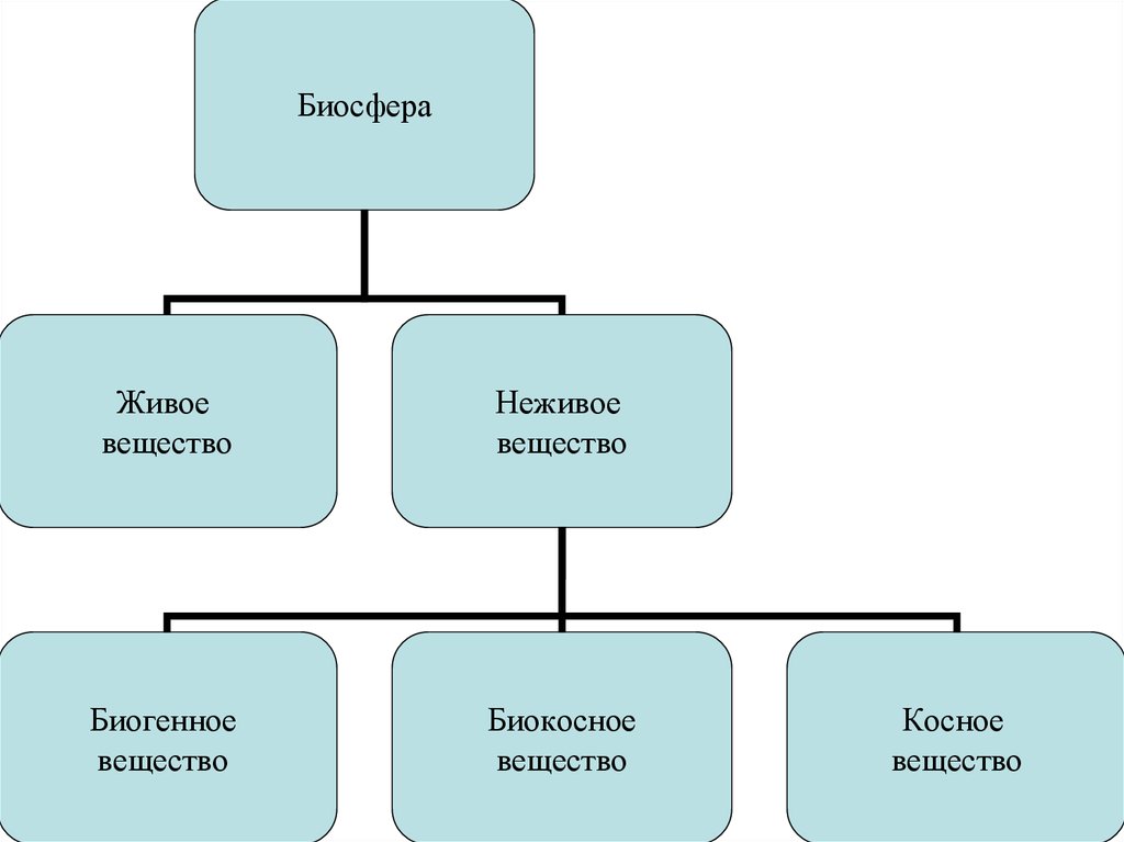 Классификация живого вещества. Живое вещество биосферы и его функции. Рассеянное вещество биосферы. Живое вещество биосферы по в.и Вернадскому. Компоненты биосферы живое вещество.