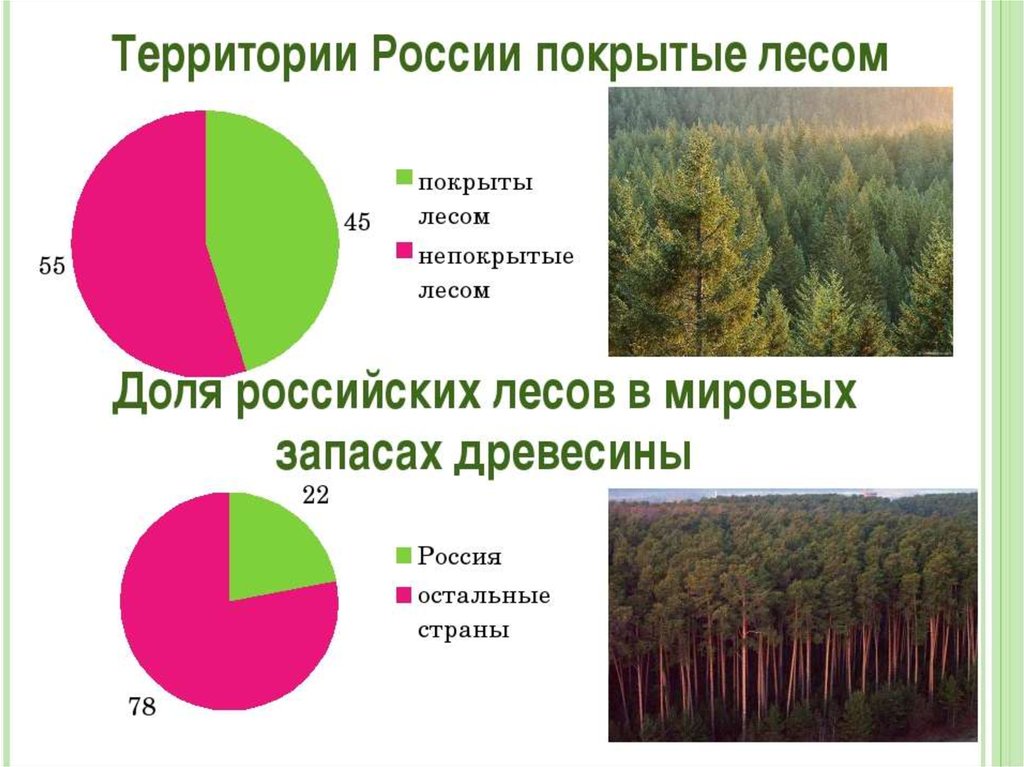 Районы добычи древесины. Лесные ресурсы России диаграмма. Лесная промышленность России.9 класс география. Лесня промышленность Росси. Лесная промышленностьросси.