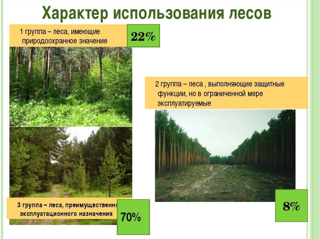 Презентация на тему лесная промышленность россии