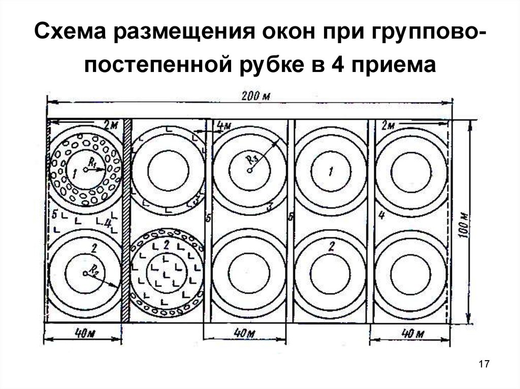 Схема размещения опыта это