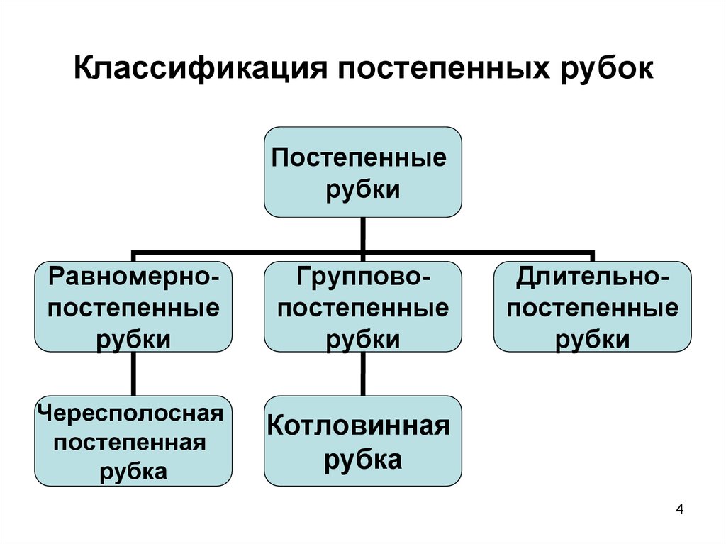 Приемы постепенных рубок