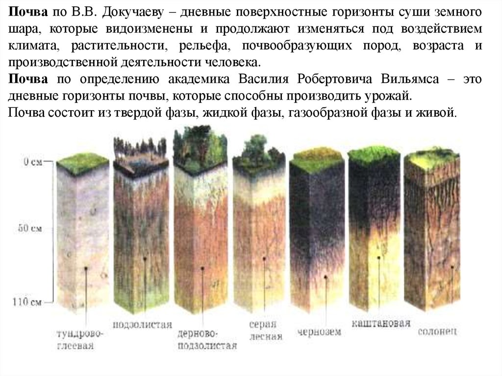 Почвенный горизонт