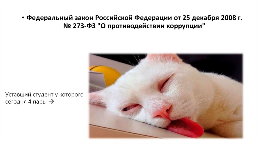 Уставший студент у которого сегодня 4 пары 