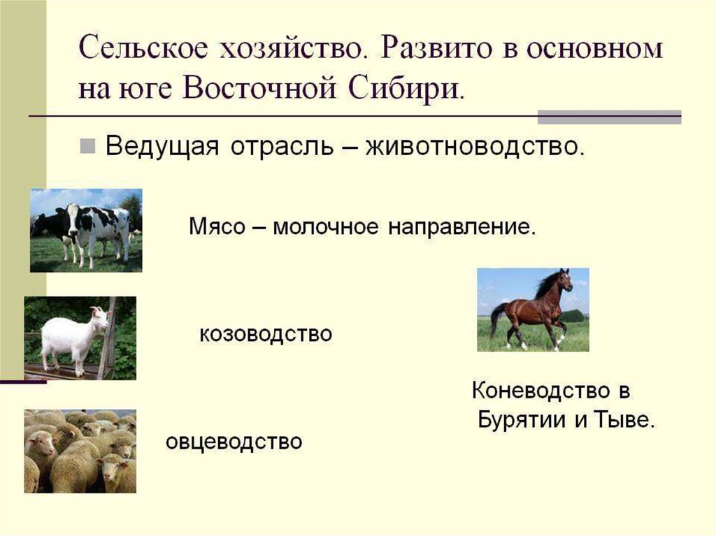 Сельское хозяйство западно сибирского