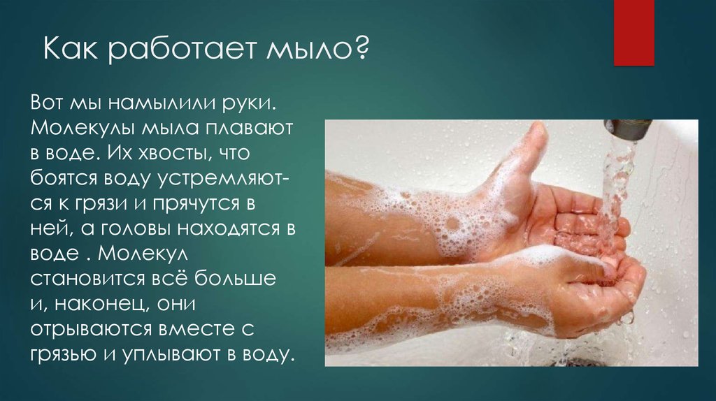 Мытье произойдет. Как работает мыло. Как мылит мыло. Как работает мыло химия. Мыло для рук твердое.