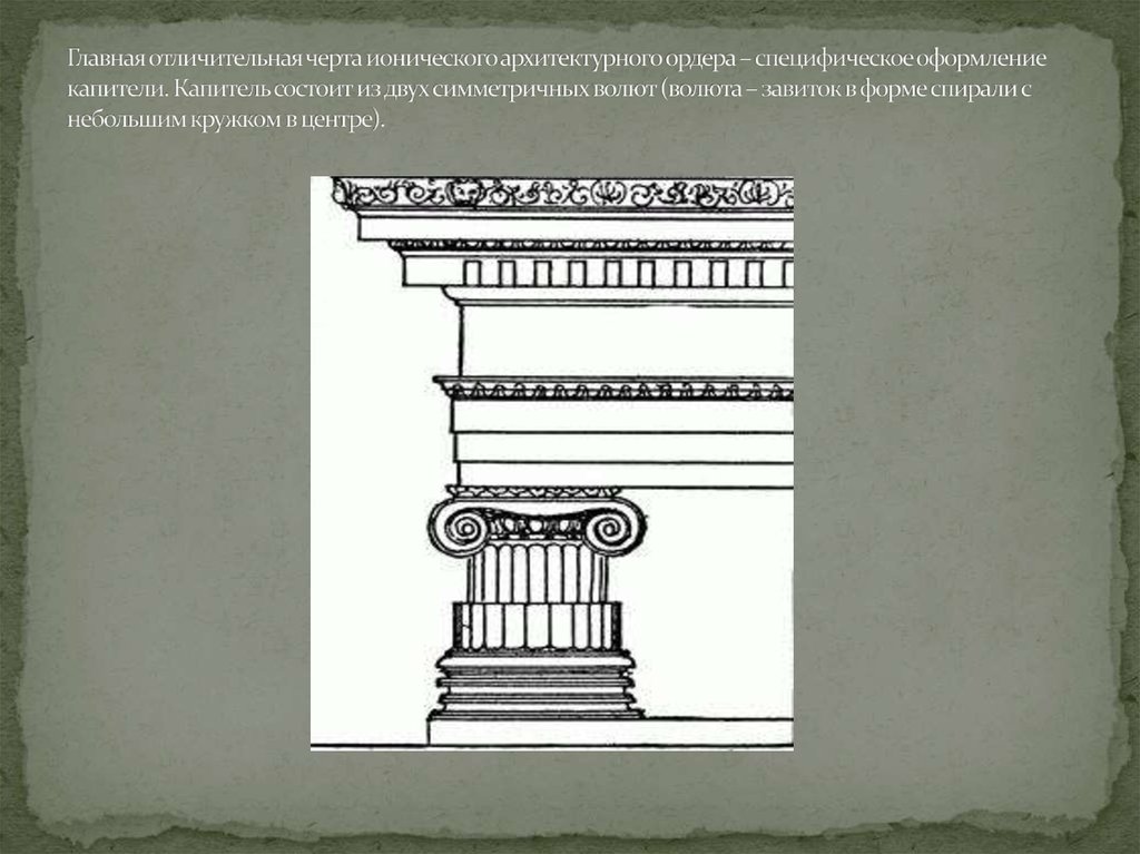 Главная отличительная черта ионического архитектурного ордера – специфическое оформление капители. Капитель состоит из двух