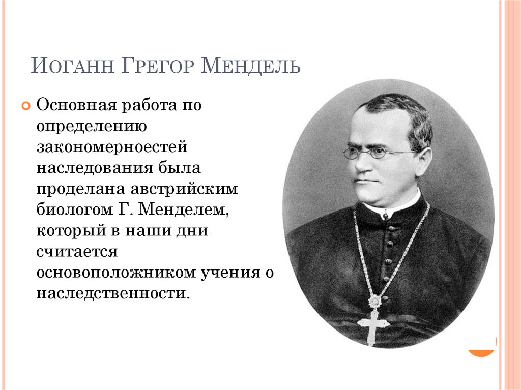 Мендель биология. Законы наследования Грегора Менделя. Иоганн Грегор Мендель законы наследственности.