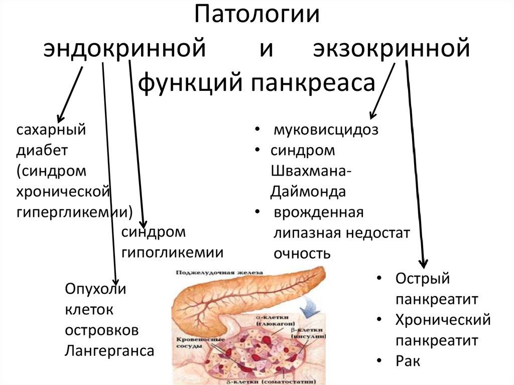 Отзывы поджелудочной железы